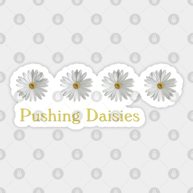 Pushing Daisies Sticker by HalamoDesigns